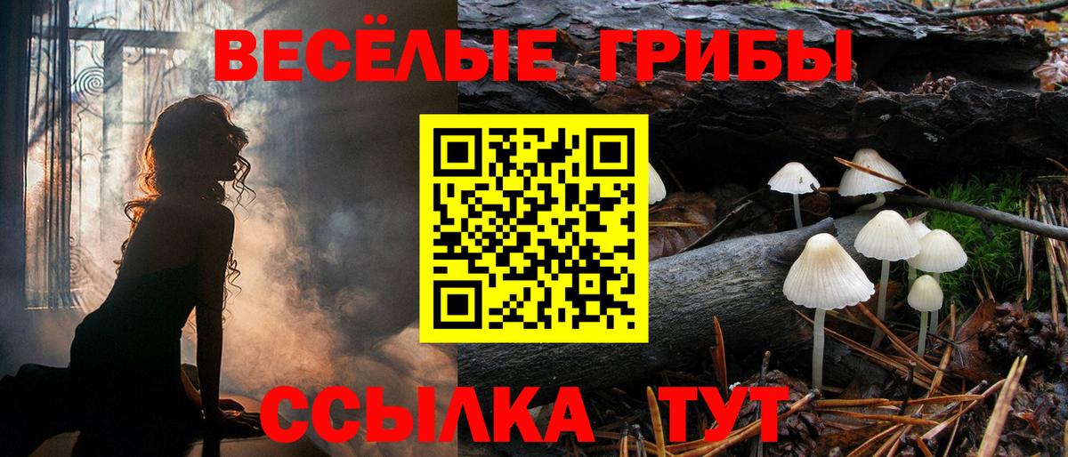 A-PVP Малоярославец
