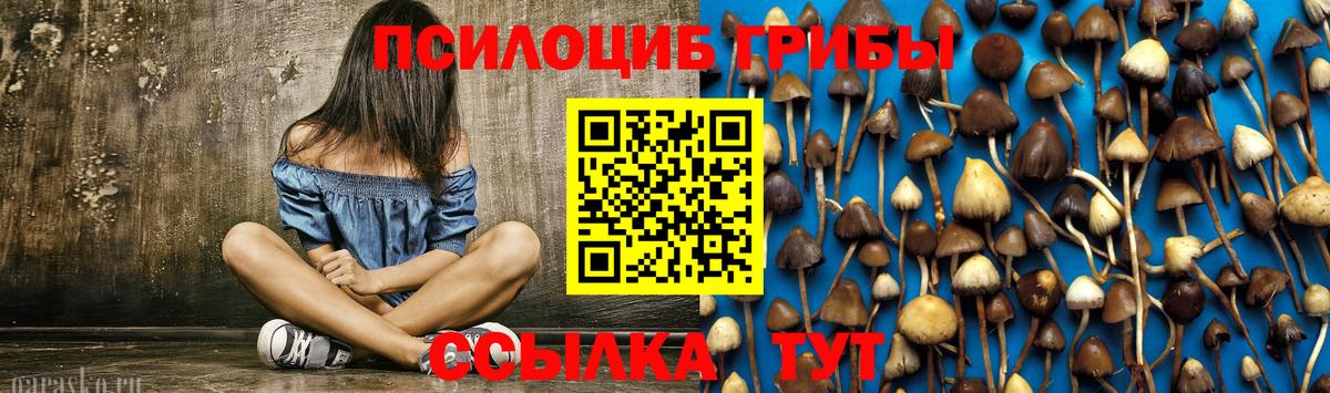 Галлюциногенные грибы Psilocybe  Вход с VPN  Малоярославец 